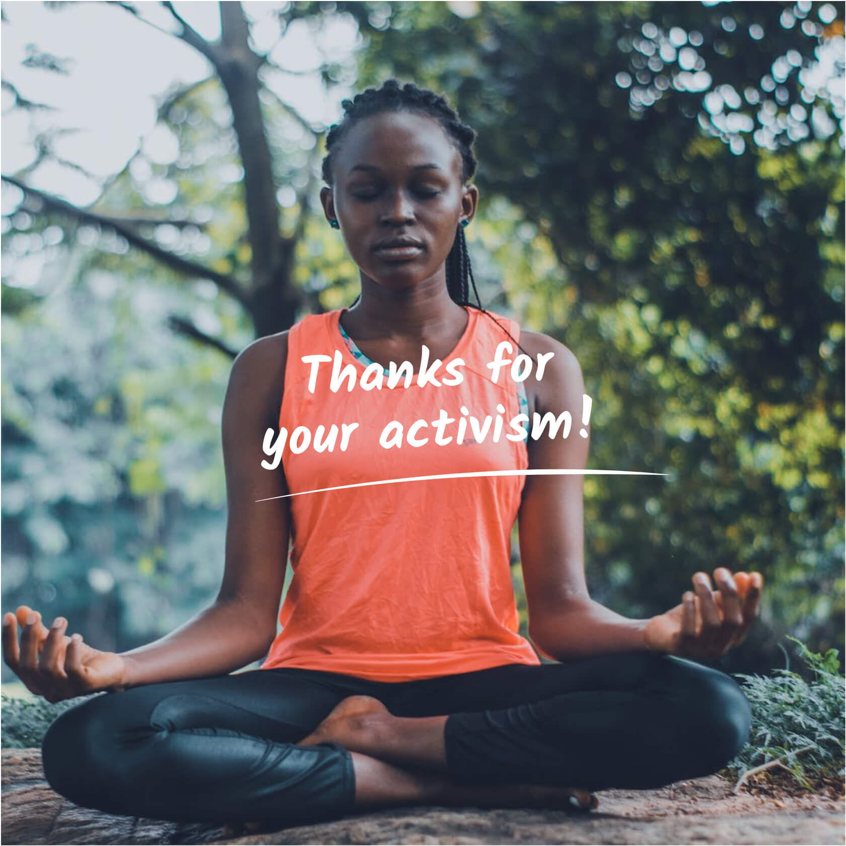 Advaya branding design UK company & web design colourful joy activism