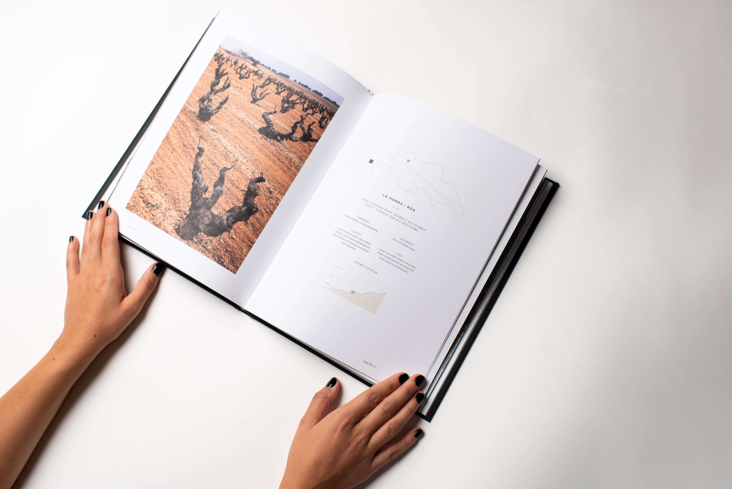 Diseño editorial Bodegas Aalto, libro de marca, Ribera del Duero