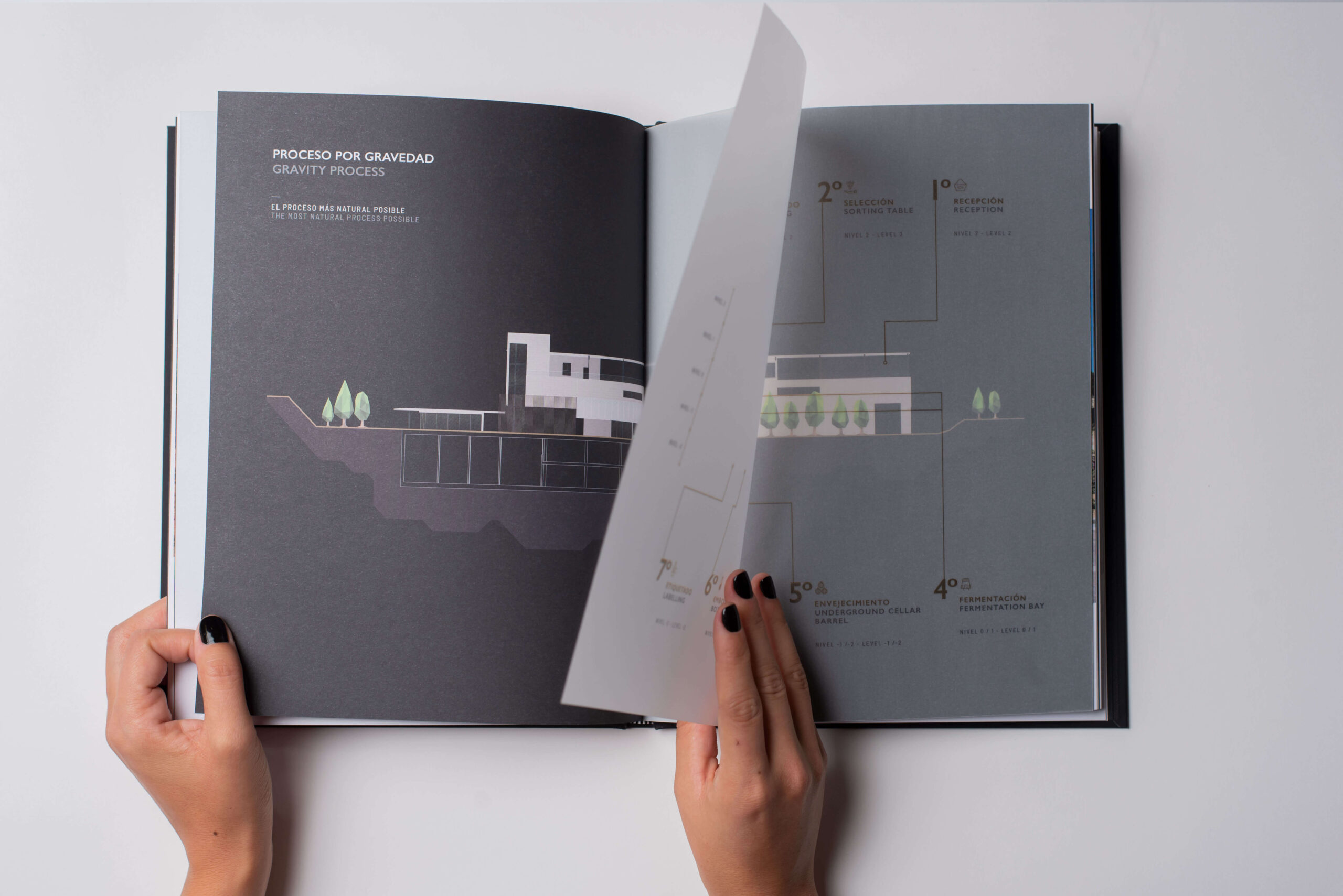 Diseño editorial Bodegas Aalto, libro de marca, Ribera del Duero