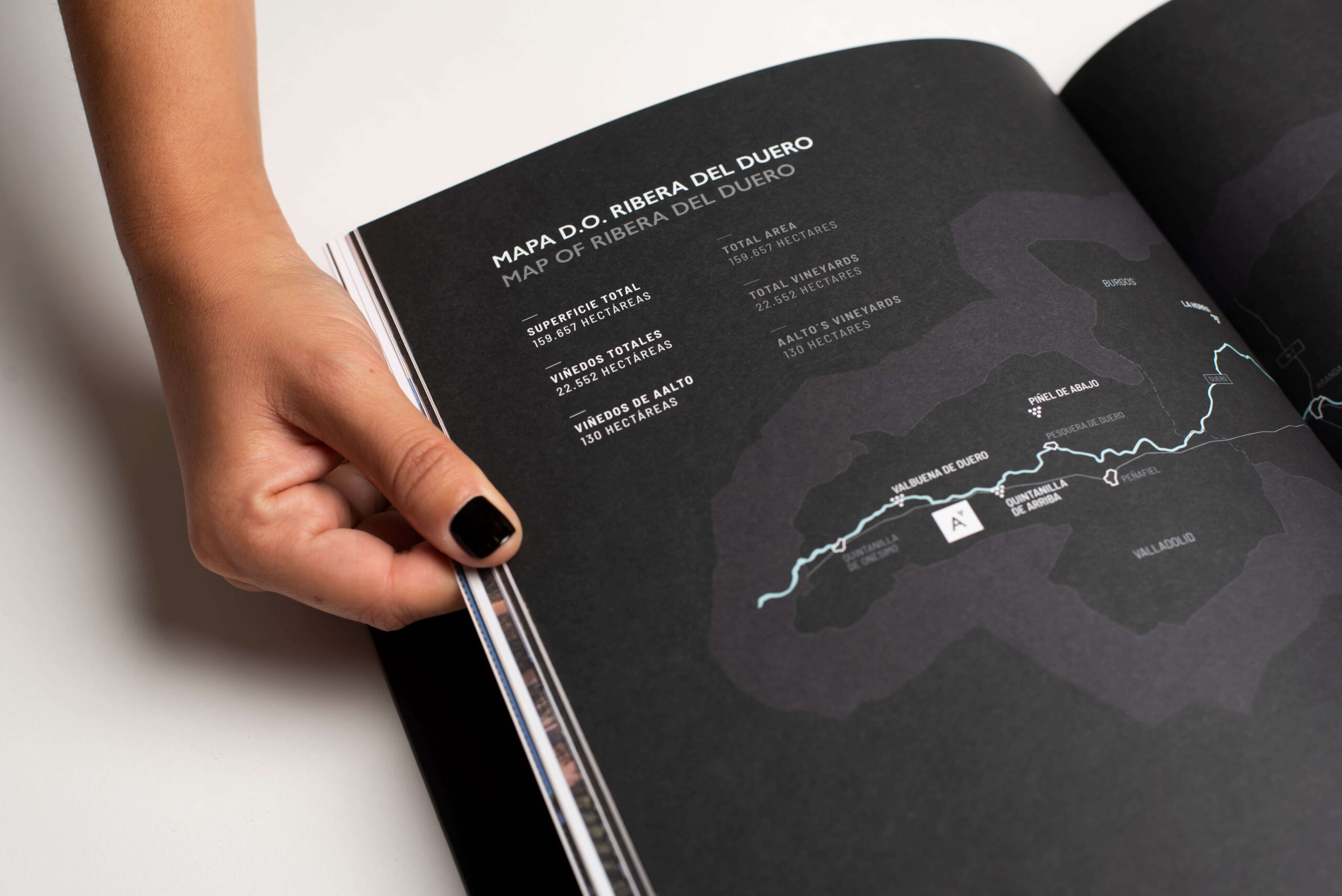 Diseño editorial Bodegas Aalto, libro de marca, Ribera del Duero