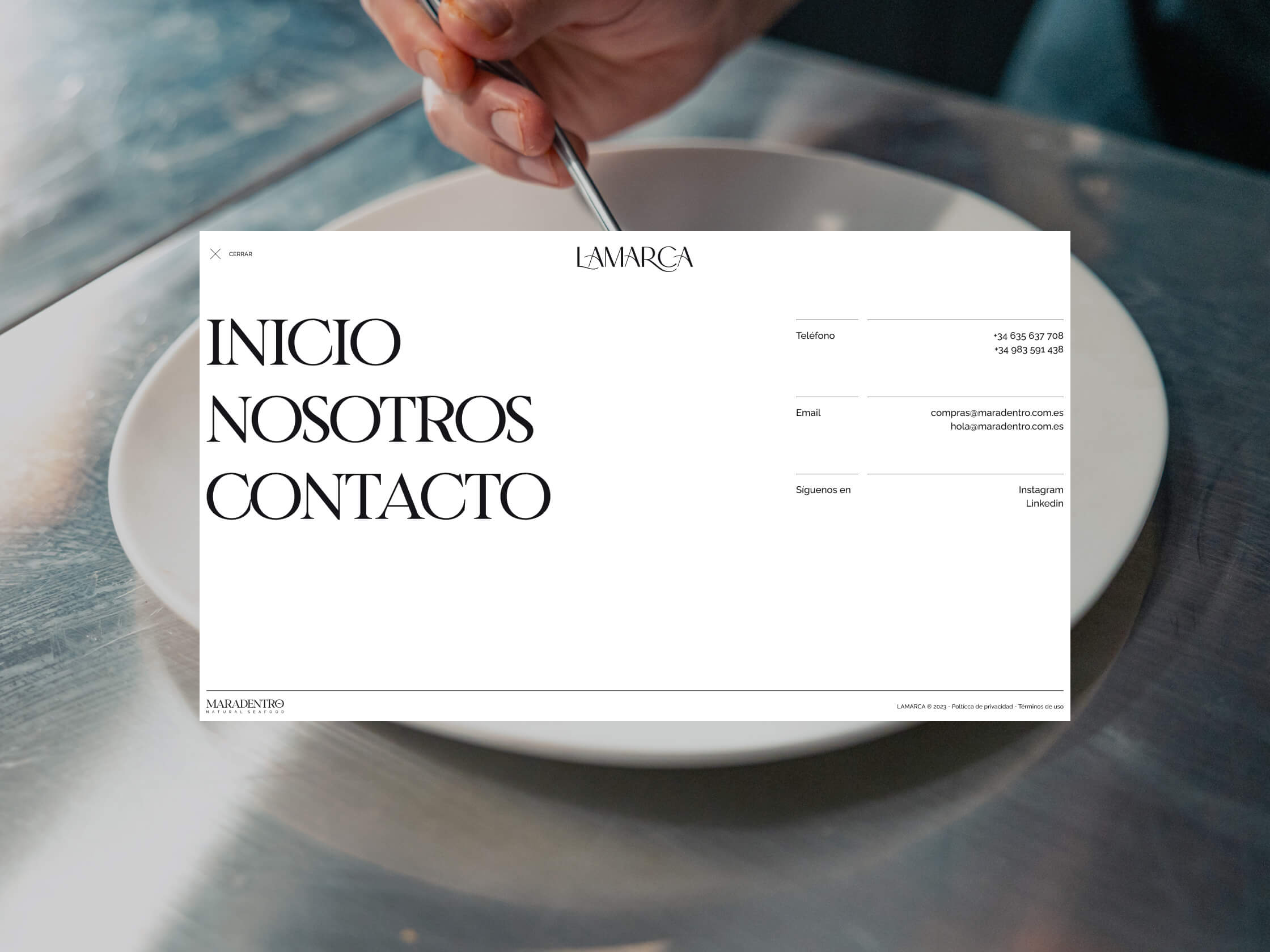 diseño branding web design la marca marisco seefood luxury marca estrategia