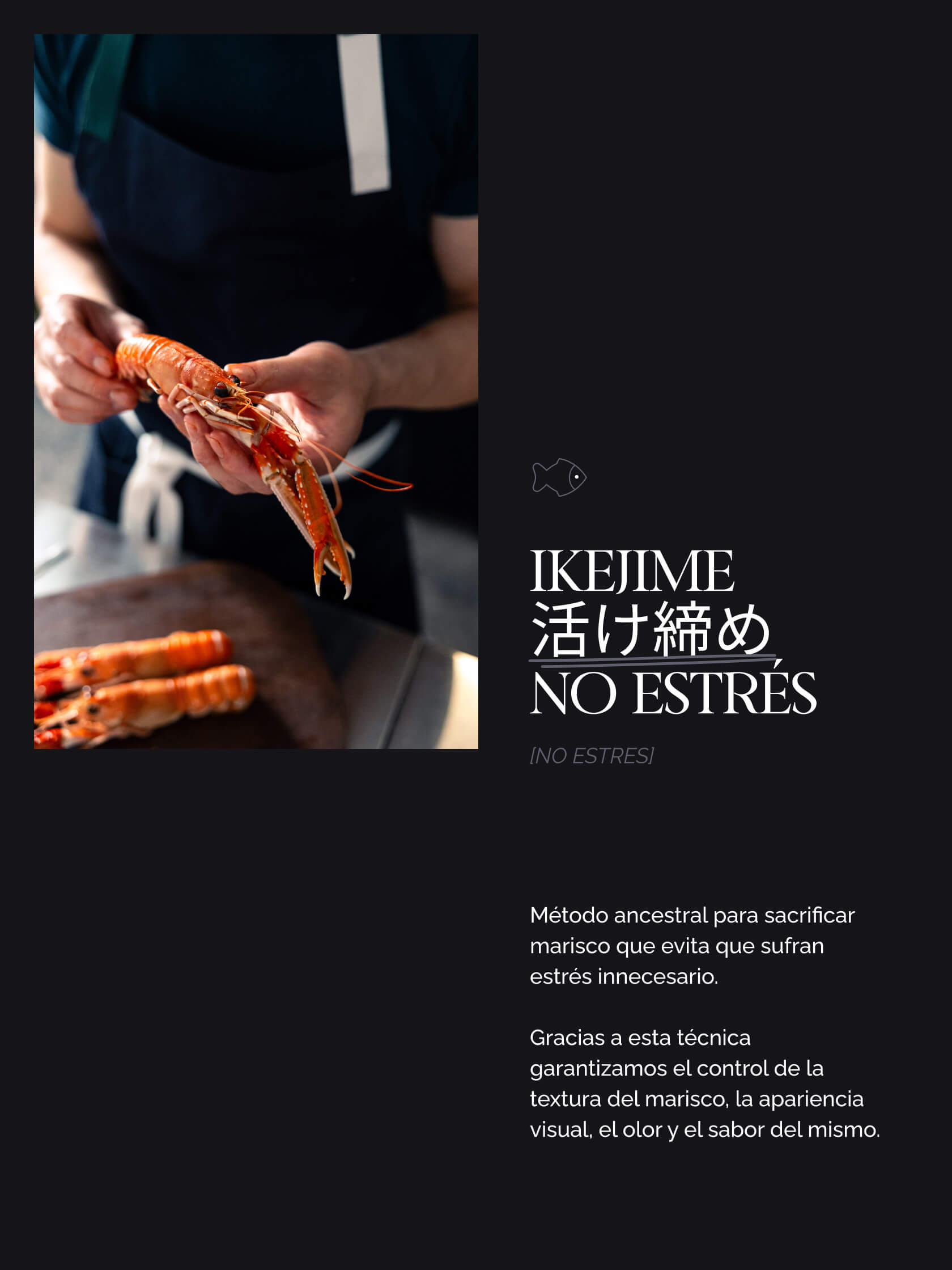 diseño branding web design la marca marisco seefood luxury marca estrategia