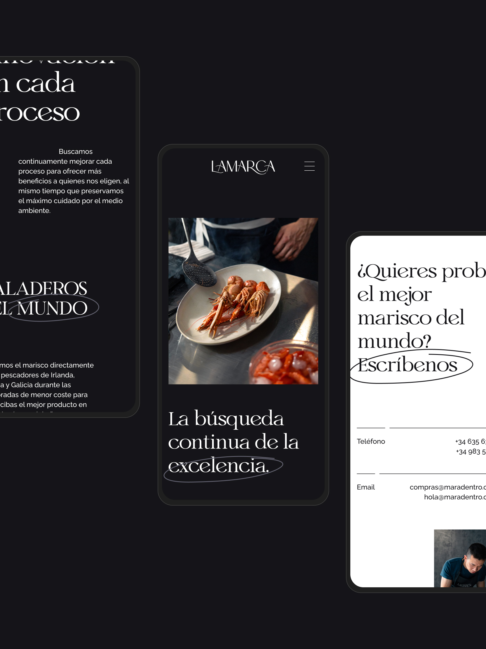 diseño branding web design la marca marisco seefood luxury marca estrategia