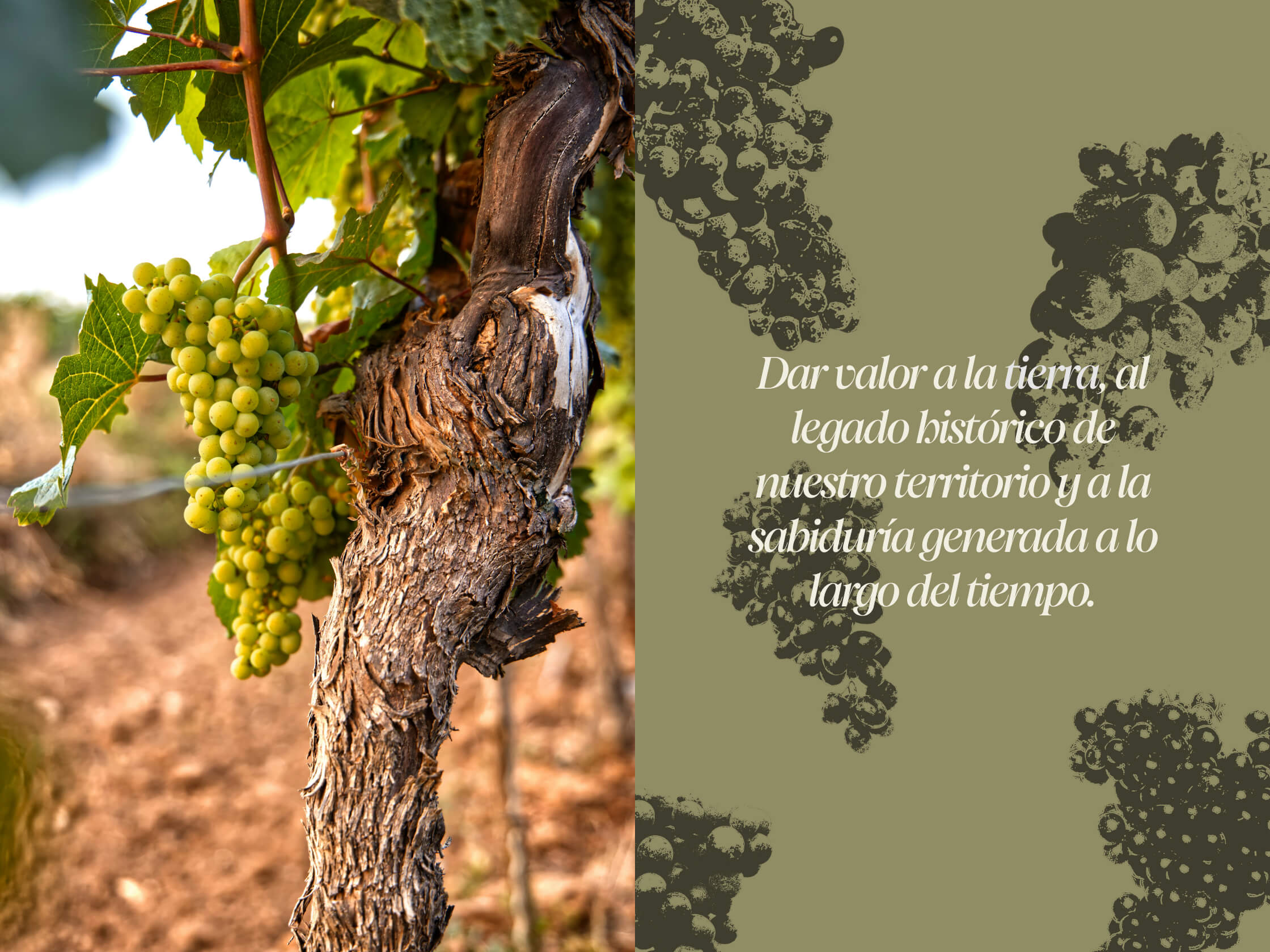 Branding Duero Wine Fest