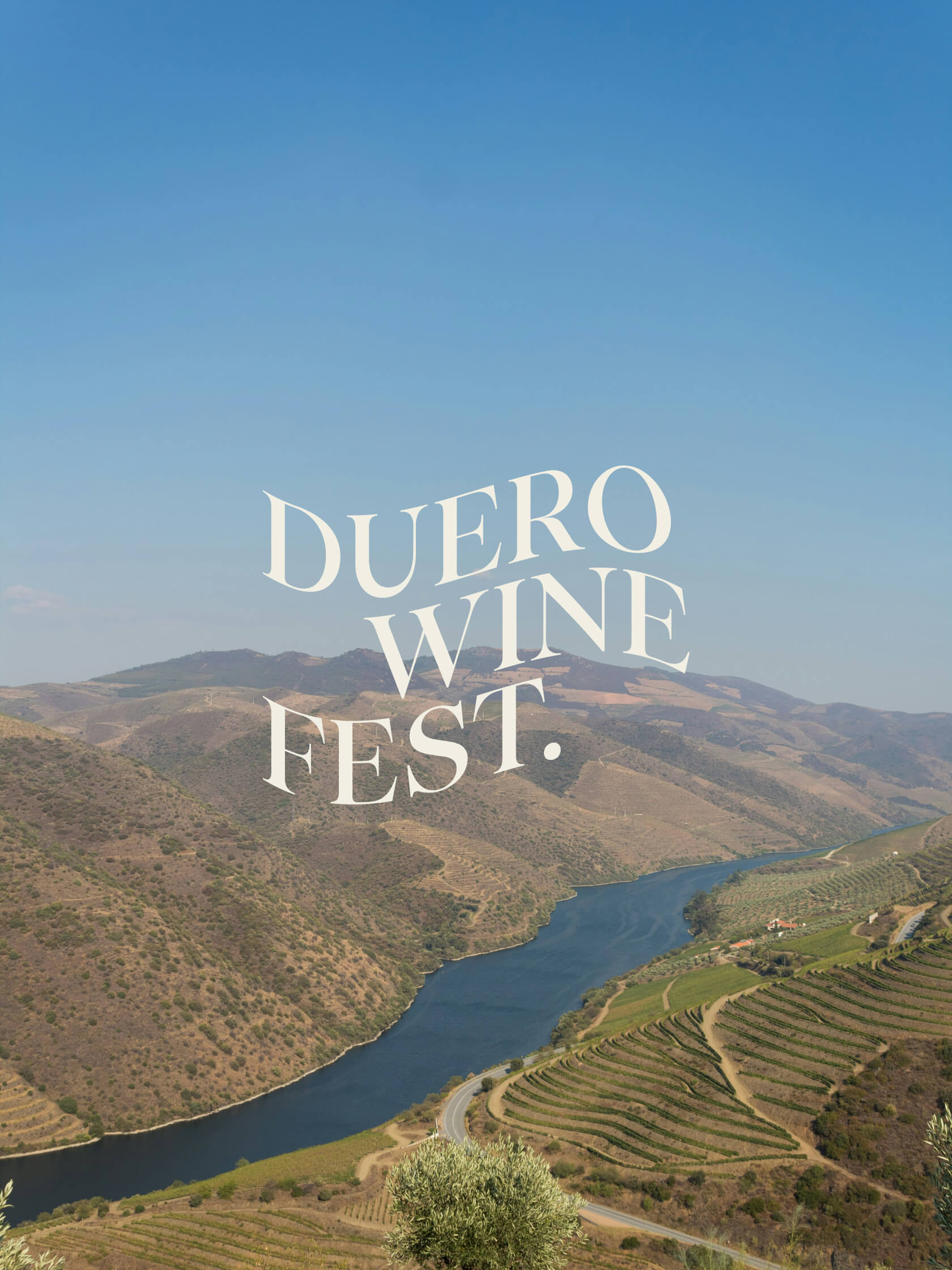 Branding Duero Wine Fest