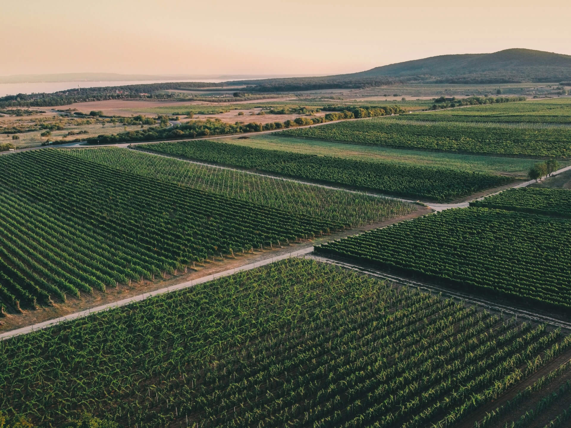Duero Wine Fest