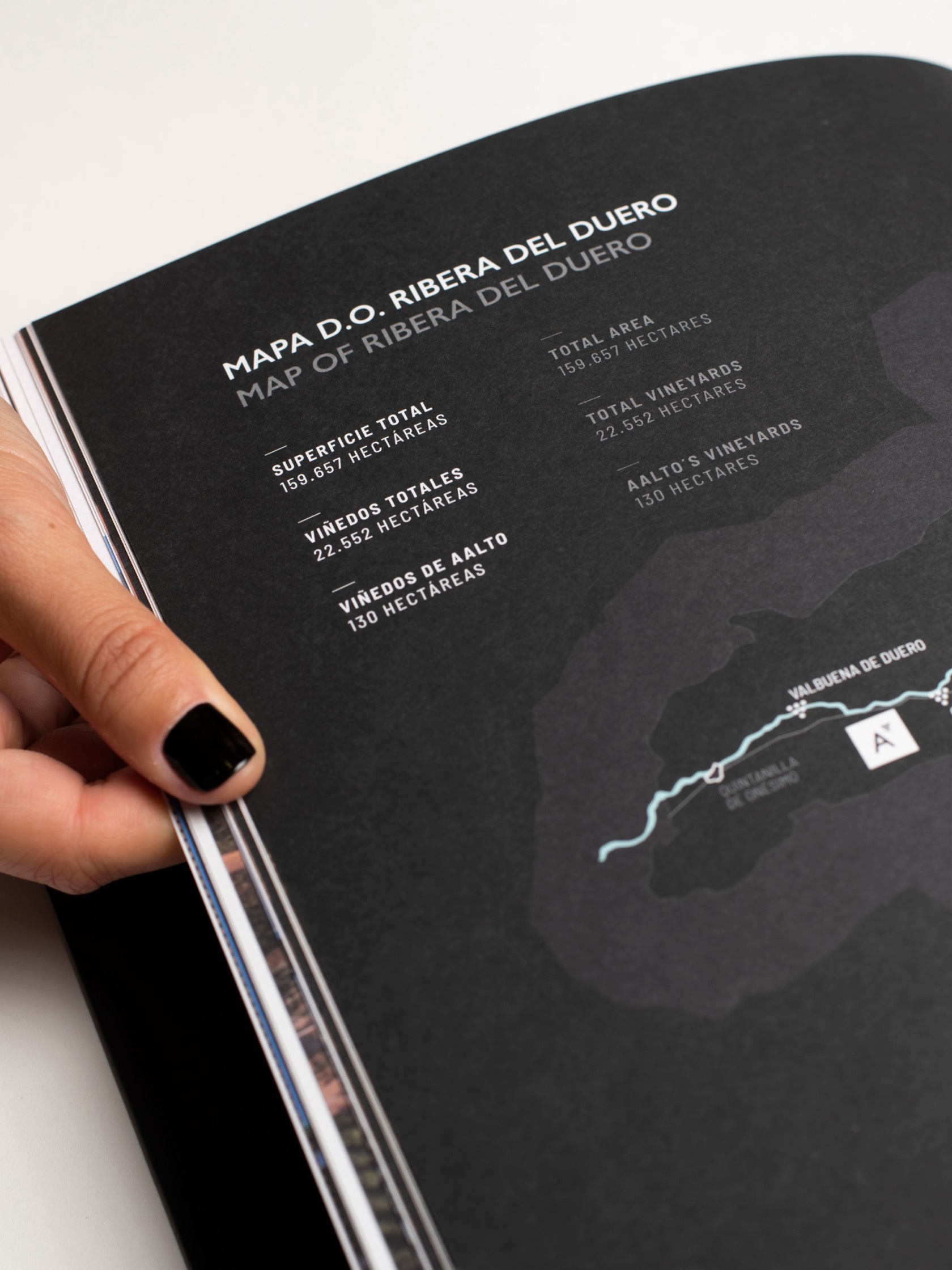 Diseño editorial de un libro para Bodegas Aalto