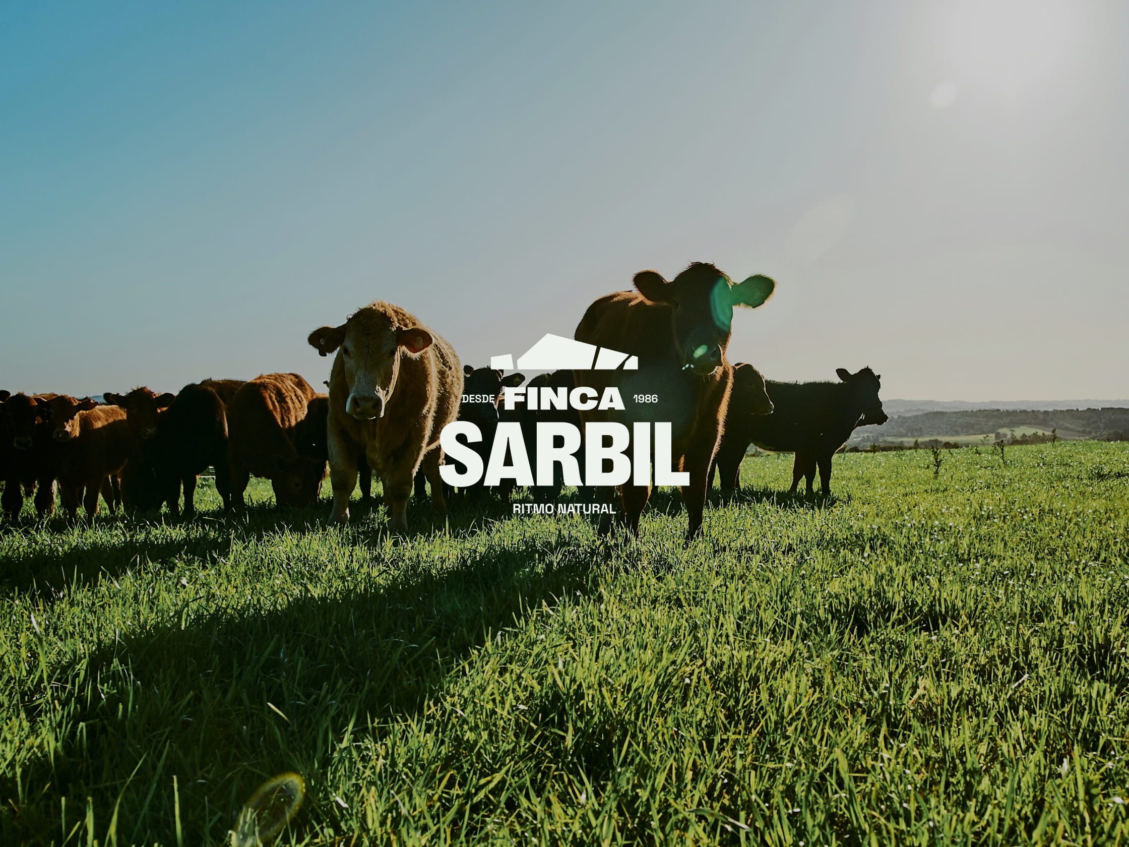 Branding ganadería ecológica. Finca Sarbil