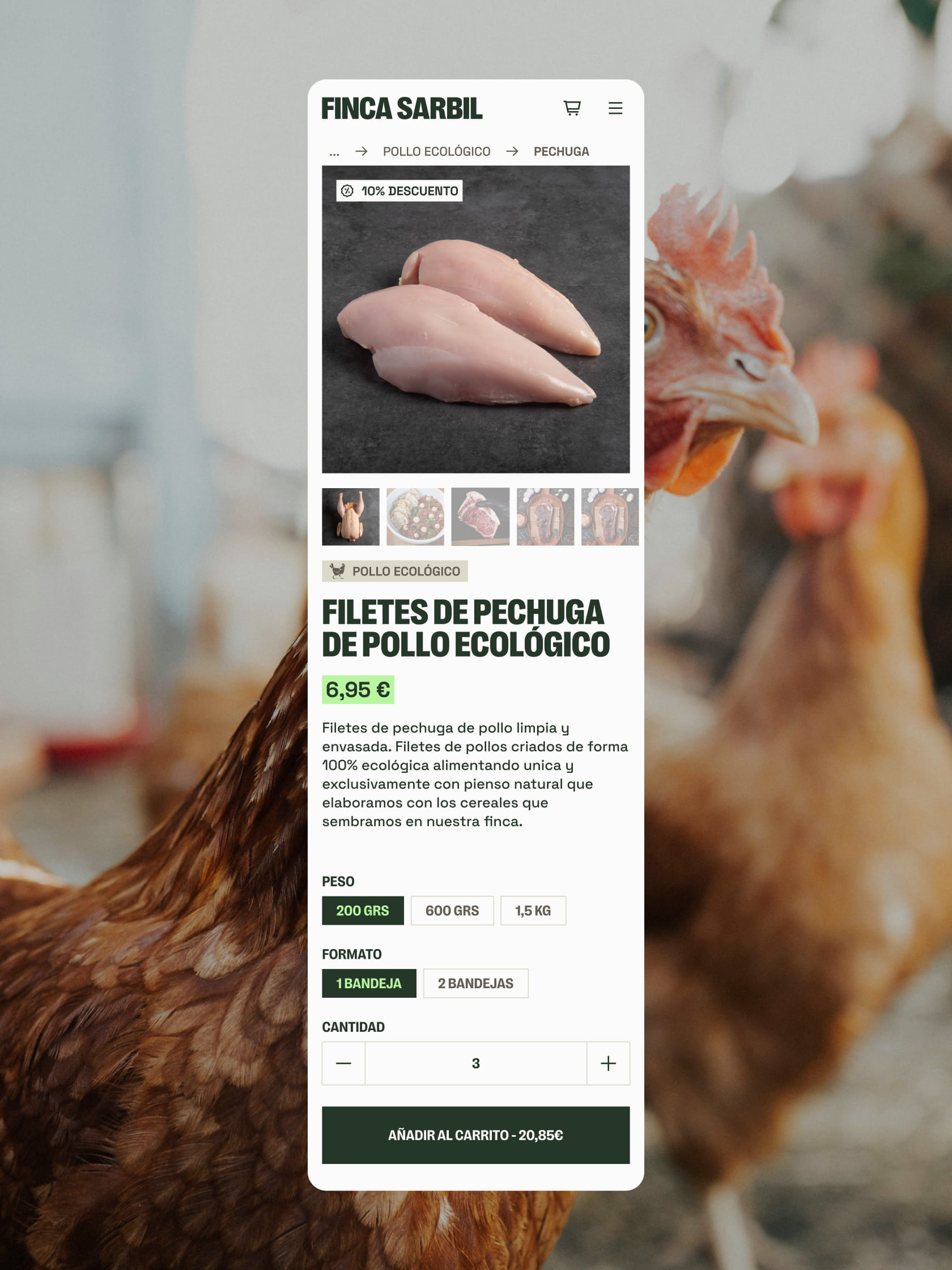 Diseño de página web adaptada a dispositivos móviles para productores locales y ganadería artesanal.