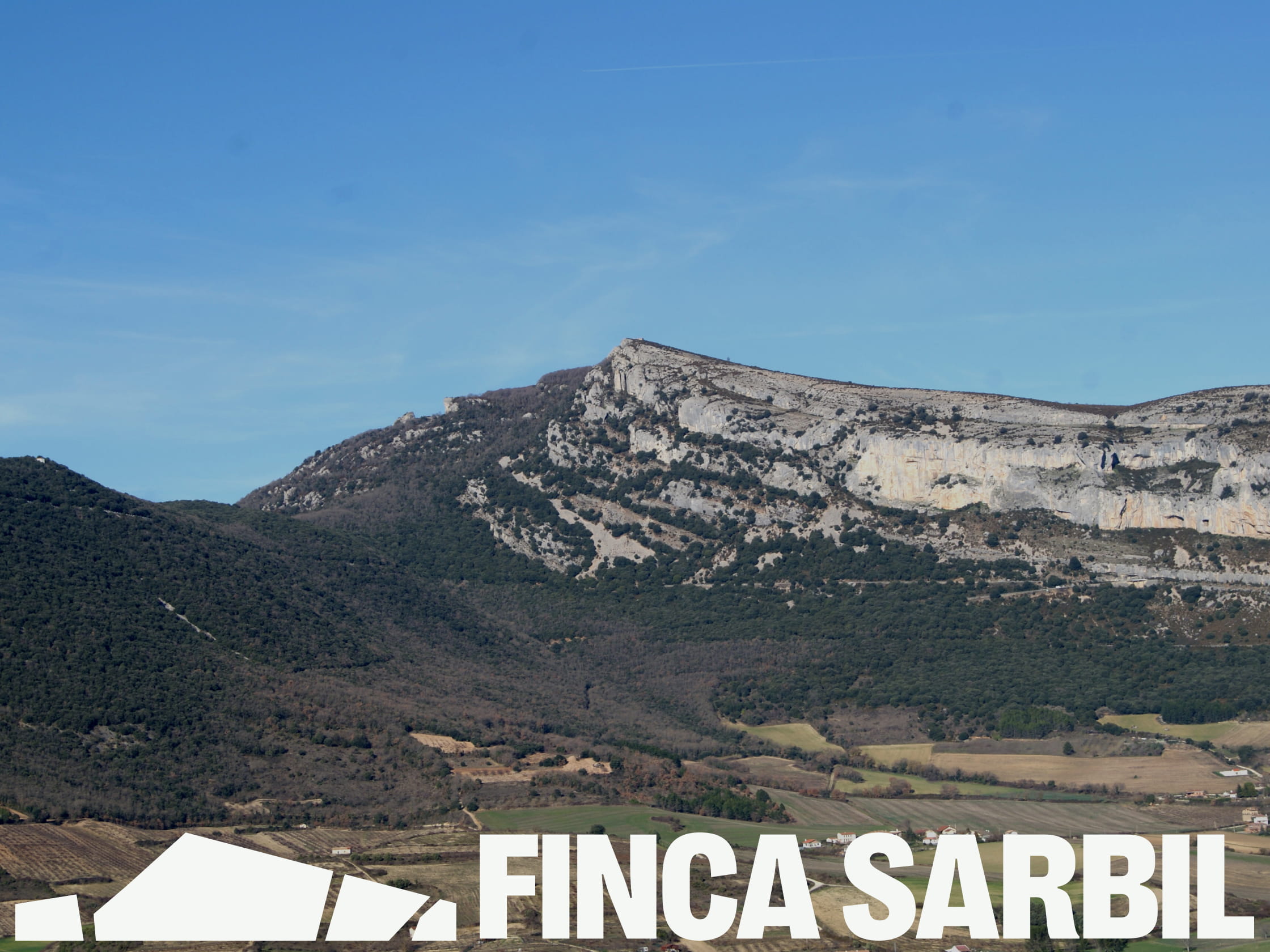 Diseño de identidad visual y branding para la ganadería ecológica Finca Sarbil por Azote.
