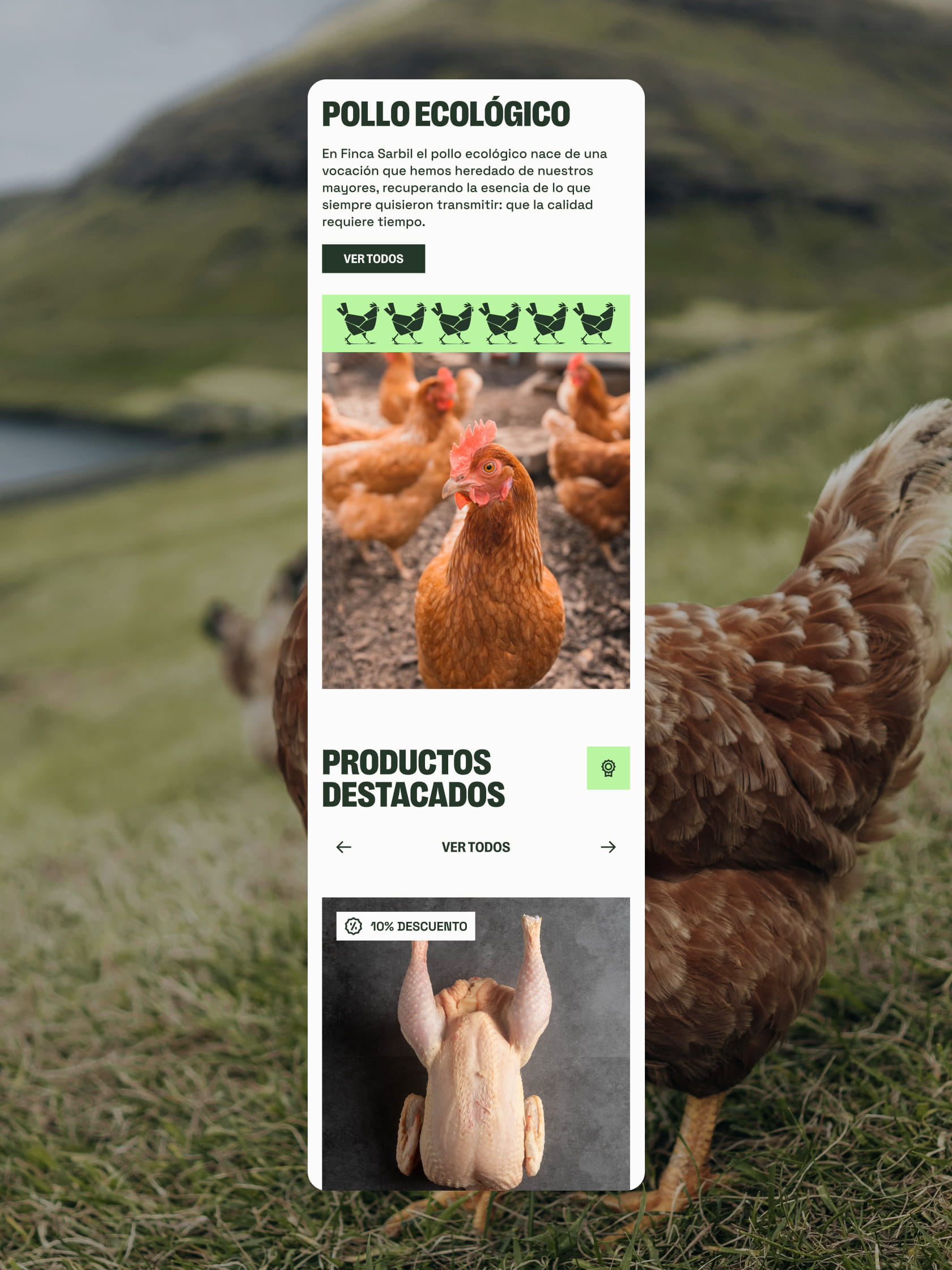 Diseño de identidad visual y branding para la ganadería ecológica Finca Sarbil por Azote.