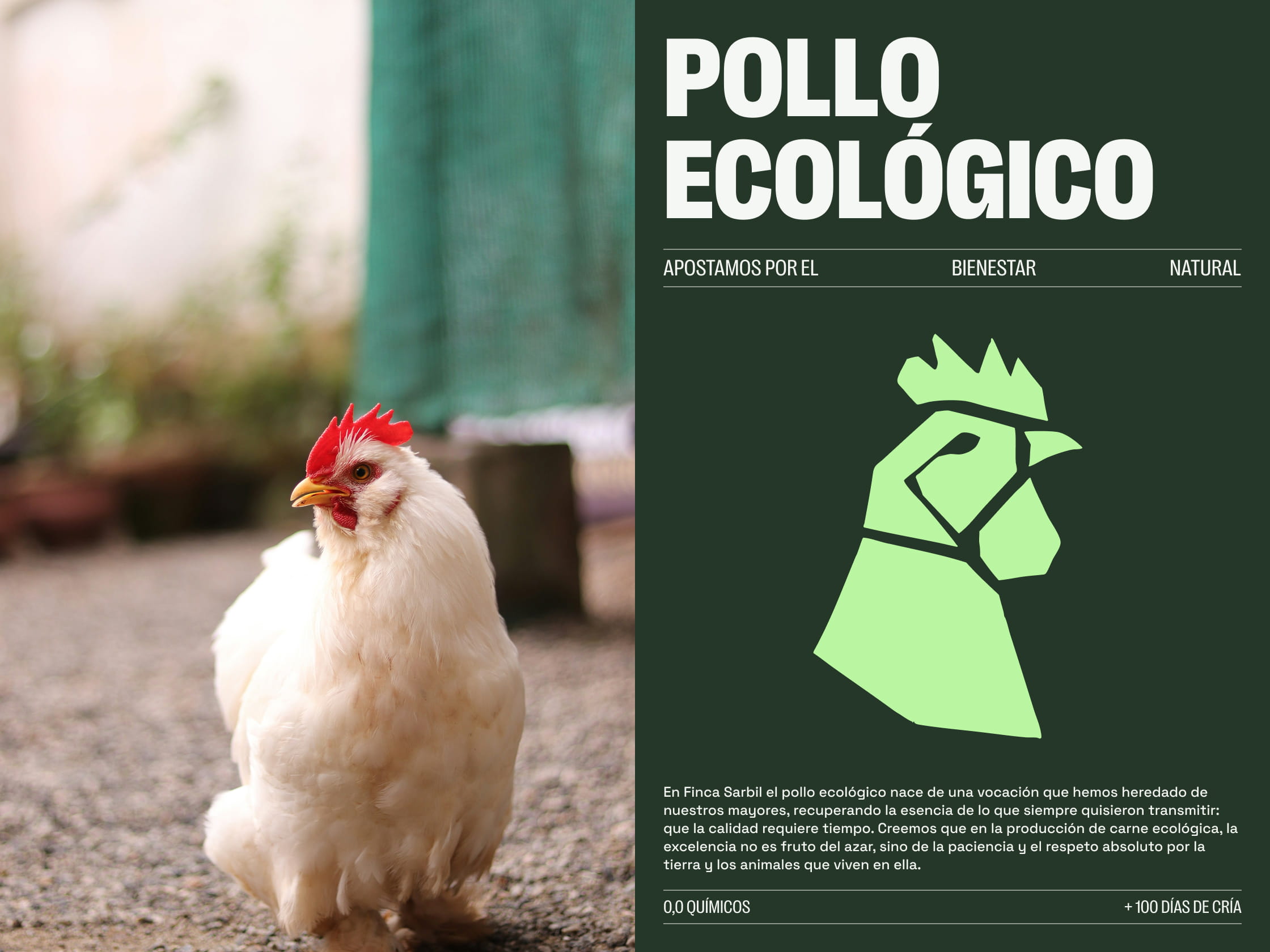 Dirección de arte y estilismo fotográfico para el sector agroalimentario premium.