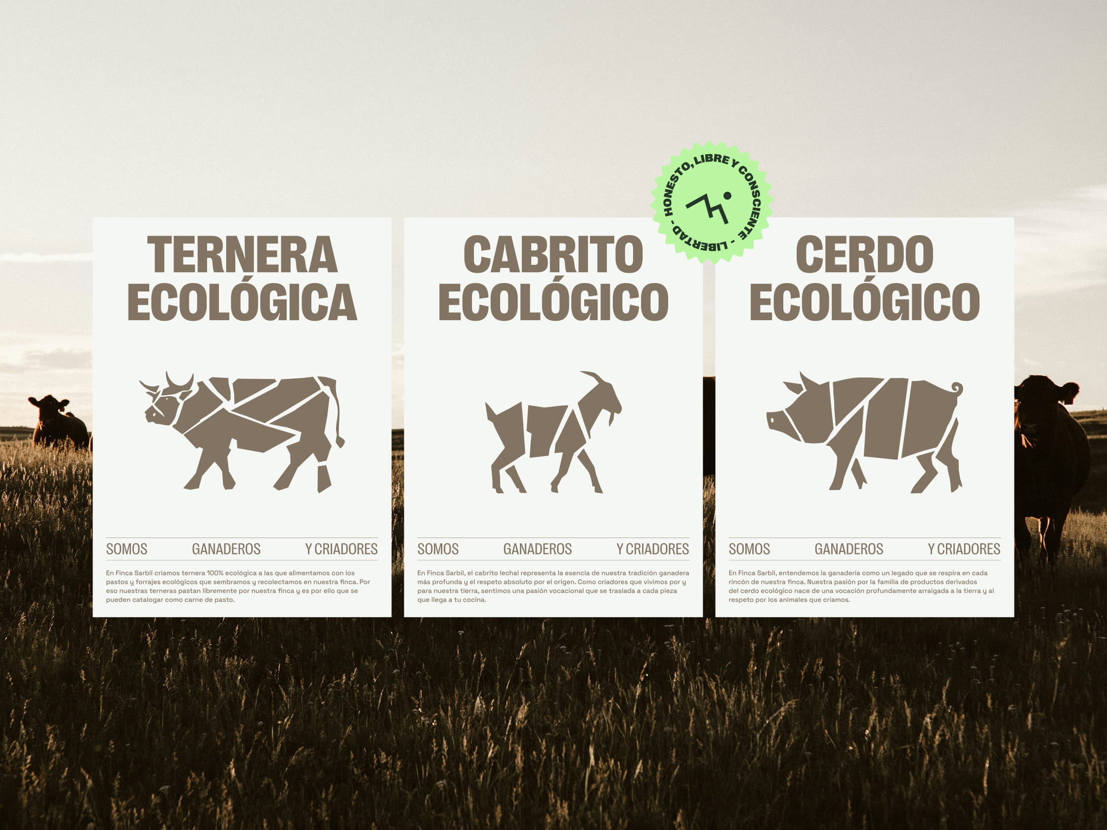 Dirección de arte y estilismo fotográfico para el sector agroalimentario premium.
